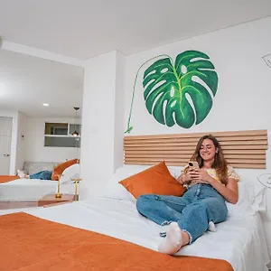 Flora New & Beautiful With Rooftop , Cali Colombia